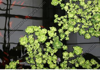 Photo of Mixed Nature Textures